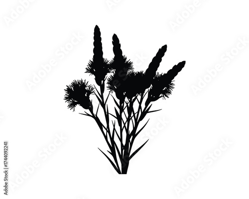 Black Silhouette Thistle Flowers Bouquet