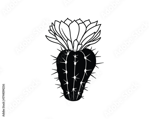 Cactus Flower Black and White Illustration