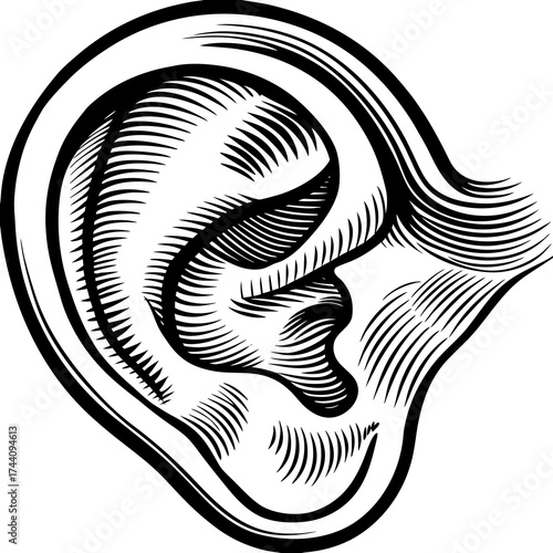 Ear Vector Illustration | Human Ear Outline Design