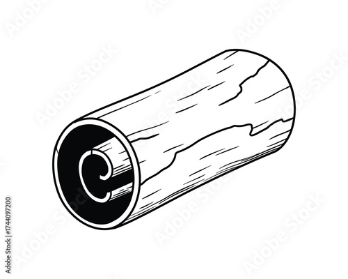Cinnamon Stick Illustration