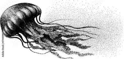 Intricate dotwork stipple illustration of a jellyfish floating gracefully