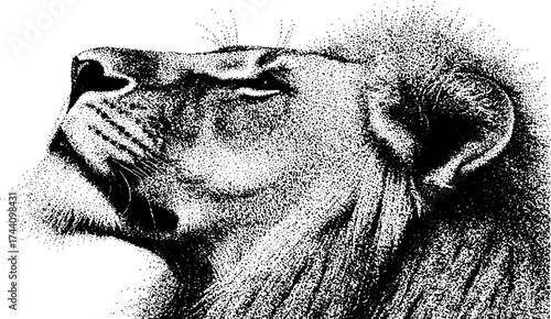 Lion faced man in detailed dotwork stippling art for creative design