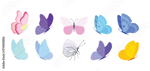 
Butterfly collection. Colorful illustration. Butterflies clipart set. Baby shower design elements. Party invitation, birthday celebration. Spring, summer decoration. Pink yellow red flowers