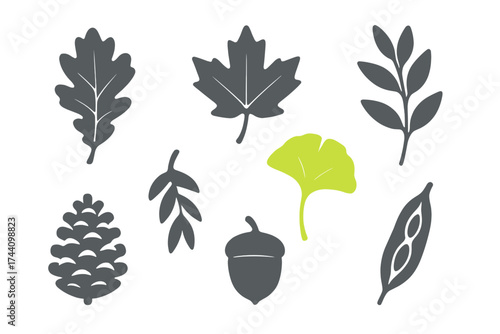 Stylized collection of autumn and forest nature elements including leaves, pine cone, and acorn icons
