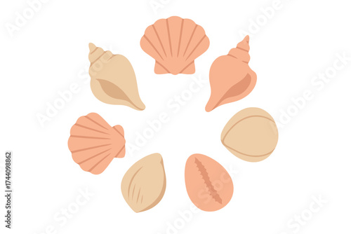 Assortment of various seashells arranged in a decorative circular frame border