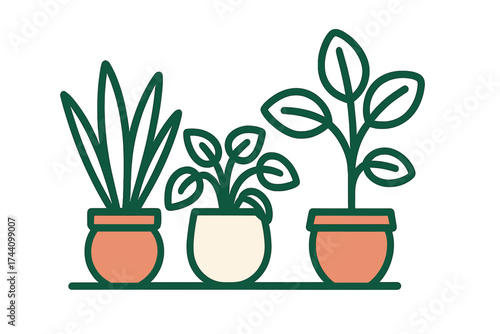 Three potted houseplants lined up on a shelf featuring various green foliage and terracotta pots