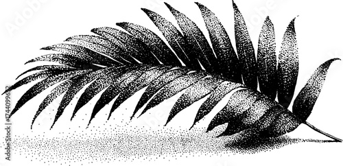 Detailed palm leaf dotwork stippling illustration for botanical designs