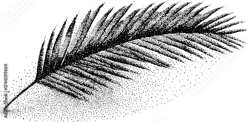 Detailed dotwork stipple illustration of palm leaf for botanical design