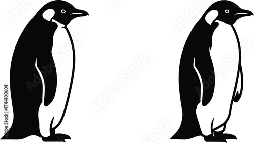 Penguin vector illustration, black and white animal design, Antarctic wildlife art, minimalist bird drawing, penguin silhouette, nature graphic, cold climate creature