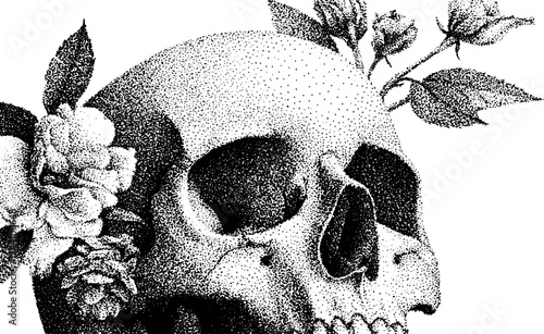 Detailed dotwork stippling skull with flowers - classic art for poster and design