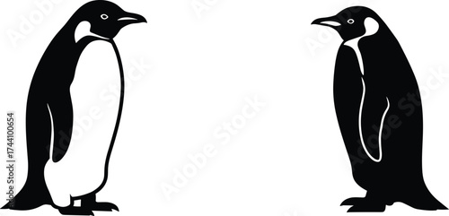 Penguin vector illustration, black and white animal silhouette, Antarctic wildlife bird design, minimalist penguin art, cold region nature drawing, graphic design