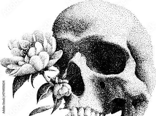 Intricate dotwork stippling of skull with blooming flowers – unique design for art projects