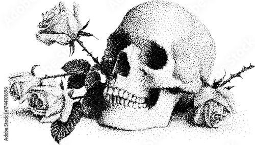 Vintage dotwork skull and roses illustration with halftone effect for artistic design