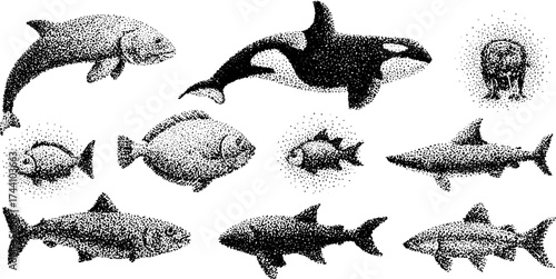 Detailed dotwork stippling illustration of marine life animals