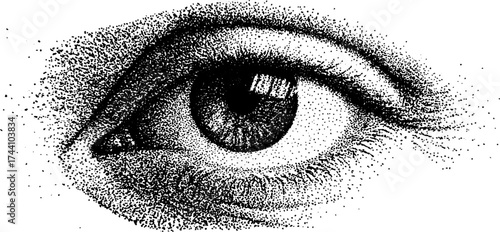 Intricate all-seeing eye with detailed dotwork stippling for mystical design