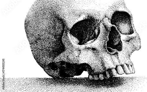 Detailed dotwork stipple illustration of human skull anatomy for educational design