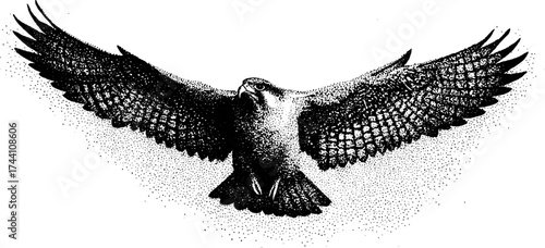 Detailed dotwork stippling illustration of horus falcon in flight