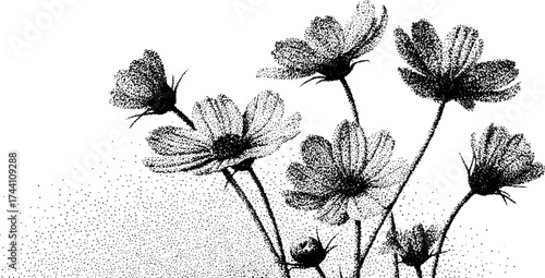 Intricate dotwork stippling of meadow wildflowers for nature-inspired design