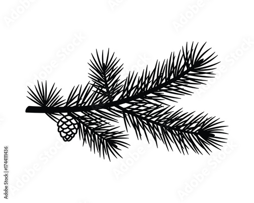 Fir tree branch with cone silhouette