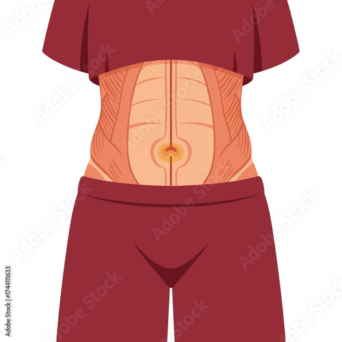 Woman's torso displaying abdominal muscles for fitness education or medical study, showcasing core strength and anatomical details with a modern aesthetic