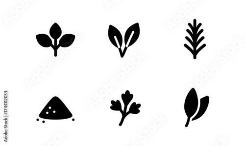 Minimalist herb icons set featuring basil, mint, rosemary, thyme, parsley, and oregano in silhouette style