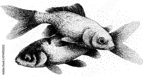Intricate stipple art of two fish swimming with dotwork technique for artistic designs