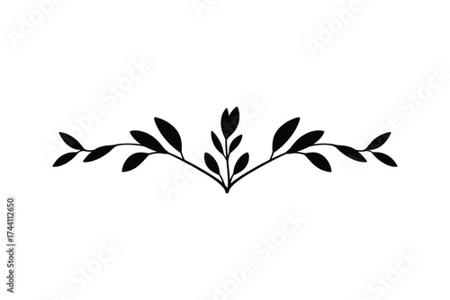Floral Divider Ornament Isolated White Background