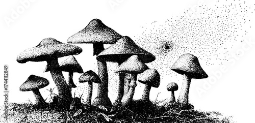 Intricate dotwork stipple illustration of wild forest mushrooms - nature and botany art