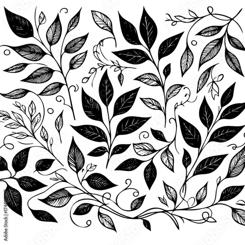Black and white drawing of leaves and vines. The leaves are drawn in a stylized way, with some appearing to be twisted and others appearing to be more natural