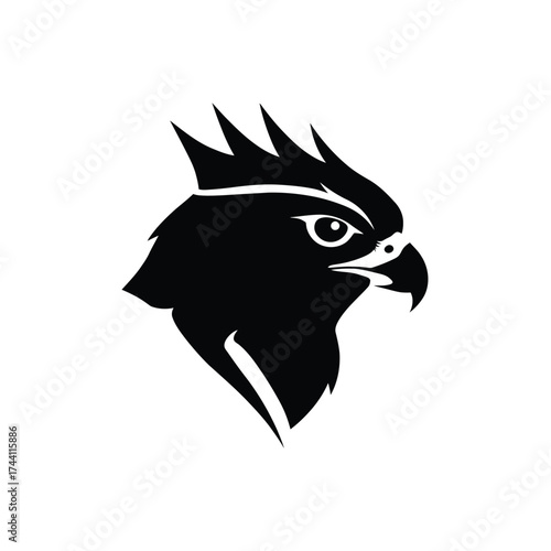 Black Hawk Head Silhouette Profile bird raptor