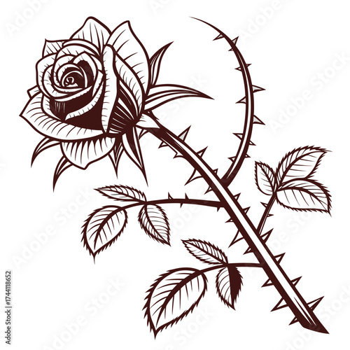 Elegant Rose Illustration with Thorns and Leaves elegant rose illustration