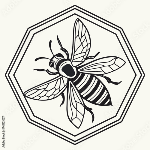 Bee in a hexagon frame