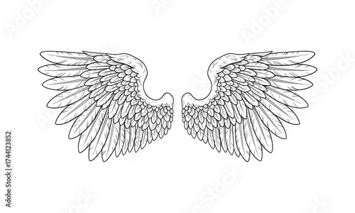 Angel wings line art, feathered symmetrical wings vector, black and white sketch, bird flight wings drawing,  hand drawn feather illustration