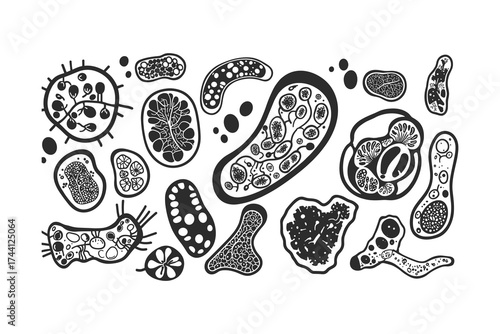 Microorganisms illustration set