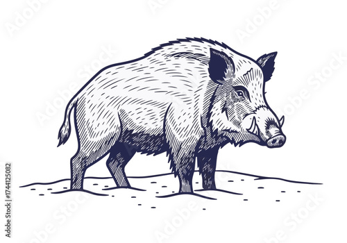 Wild boar standing in snowy landscape, showcasing detailed fur texture and natural habitat, emphasizing winter wildlife and the beauty of nature's cold season