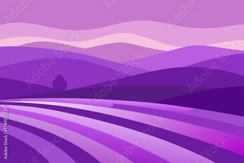 Rolling purple lavender fields scenic landscape vector illustration