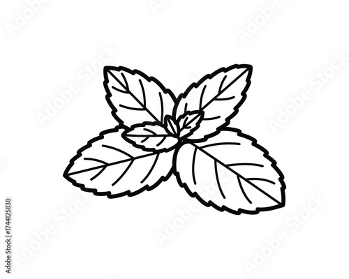 Mint Leaves Line Art symbol