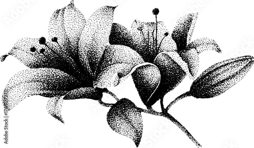 Intricate dotwork stipple art of single flowers for creative design projects