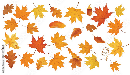 Vibrant assortment of autumn leaves in warm fall colors scattered across a white surface