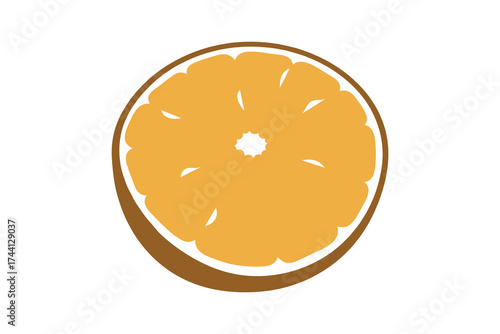 Orange slice illustration