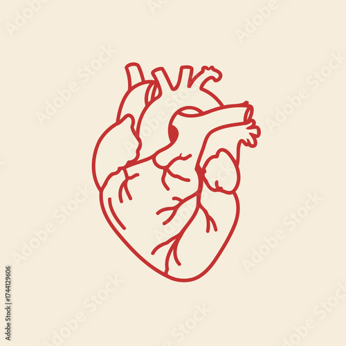 Minimalist Red Line Art Human Anatomical Heart Vector Illustration on Cream Background