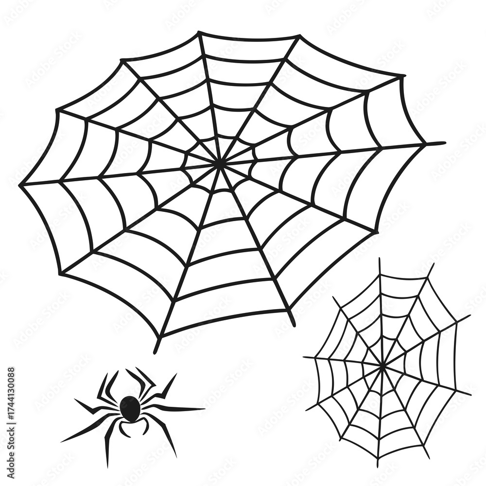 Obraz premium Black spider and web illustrations on white background
