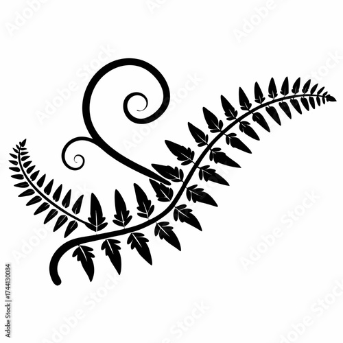 Black fern leaf silhouette with elegant spiral on white background