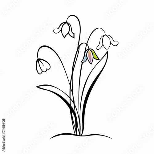 Delicate outline drawing of bell shaped flowers with one colored bloom