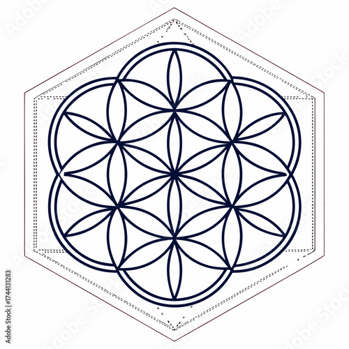 Sacred geometry flower of life symbol hexagonal design