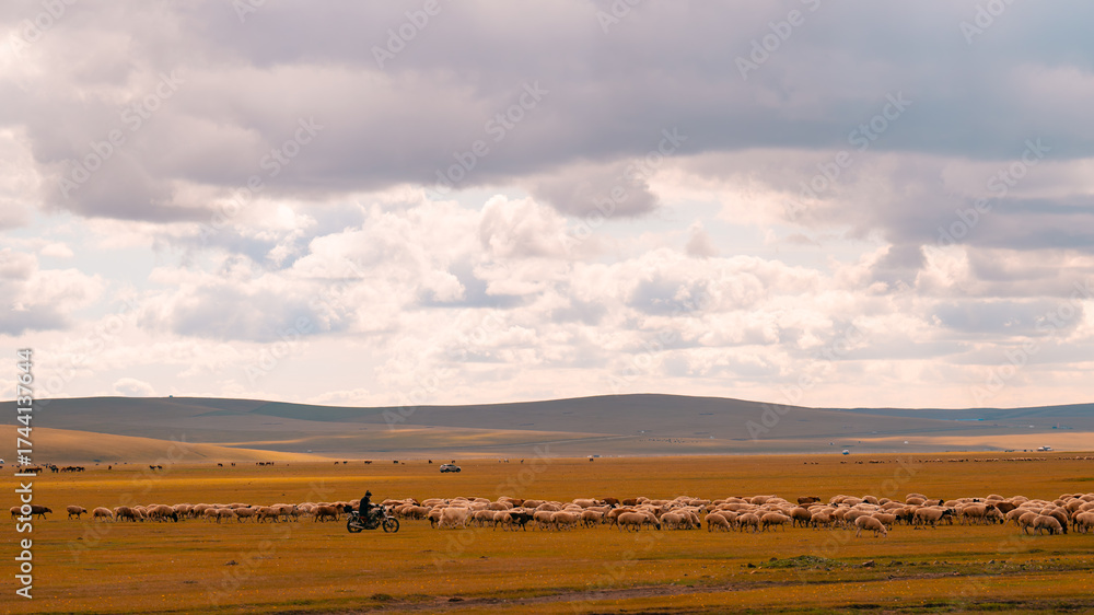 Fototapeta premium landscape with clouds and sky