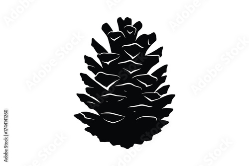 Pine cone isolated vector illustration