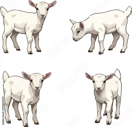 set of, goats, baby goat, mountain goat, domestic goat, wild goat, goat farming, goat milk, goat cheese, goat meat, goat breed, goat horns, goat beard, goat sound, goat behavior, goat habita