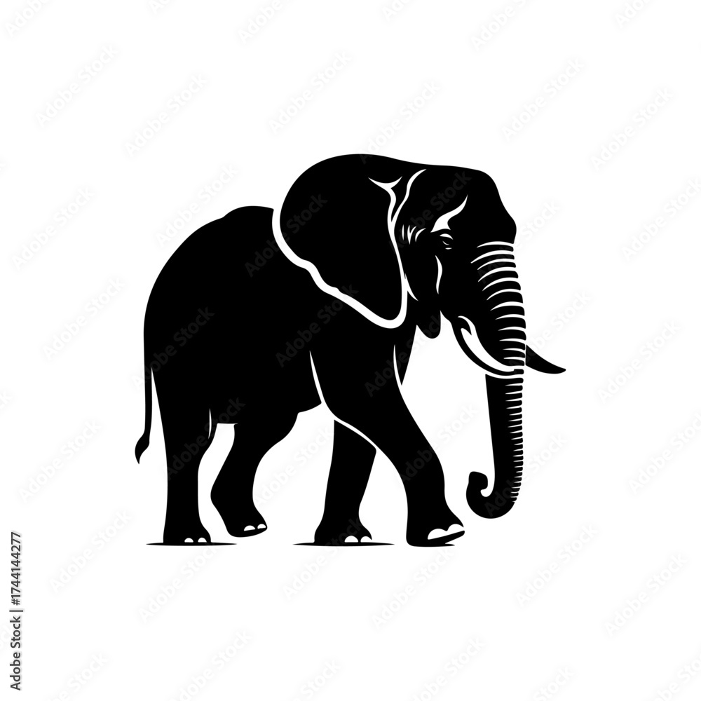 Fototapeta premium elephant isolated on white