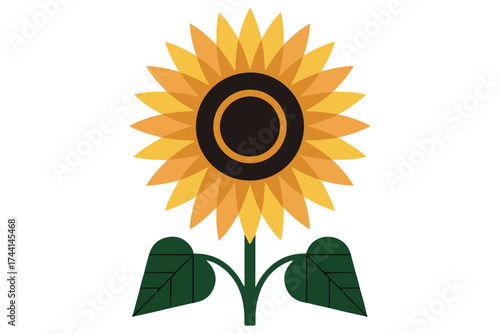 Minimalist sunflower with green stem and leaves flat color illustration isolated on white background
